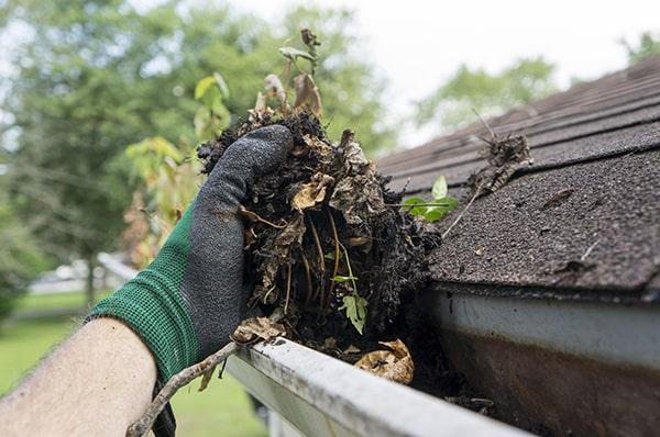 neglecting gutter cleaning can lead to water damage, mold growth, and structural issues